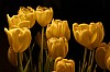 bild 5 - (c) c duecker.jpg